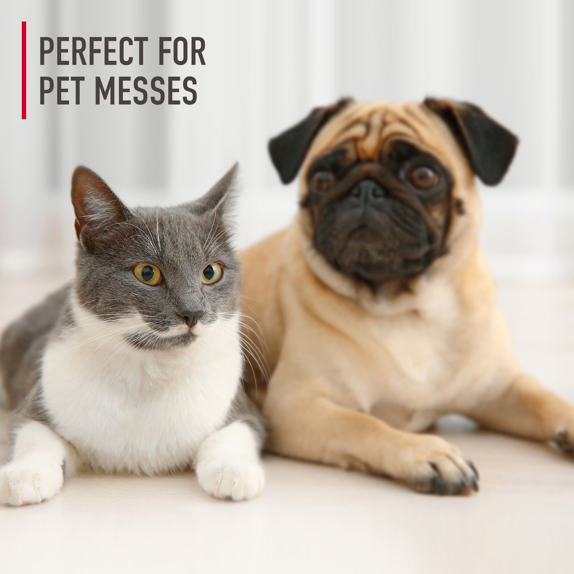Paws & Claws Carpet Cleaning Solution 128 oz. - Image 4